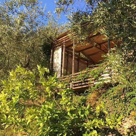 Luxury tent Pura Natura