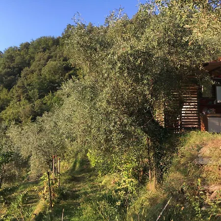 Luxury tent Pura Natura