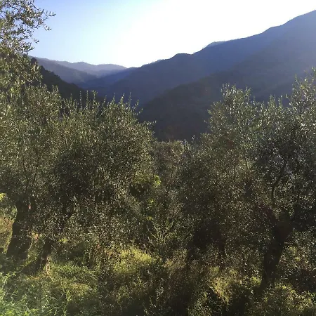 Luxury tent Pura Natura Rocchetta Nervina
